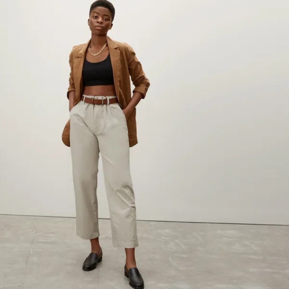 EVERLANE The Pleated Chino Pant in Stardust Khaki